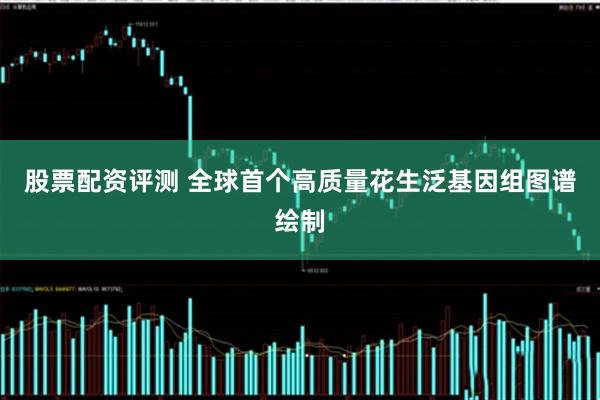 股票配资评测 全球首个高质量花生泛基因组图谱绘制