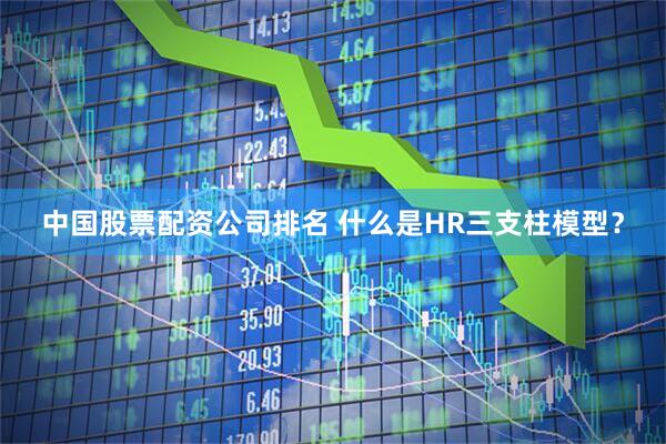 中国股票配资公司排名 什么是HR三支柱模型?