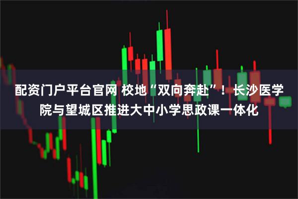 配资门户平台官网 校地“双向奔赴”！长沙医学院与望城区推进大中小学思政课一体化