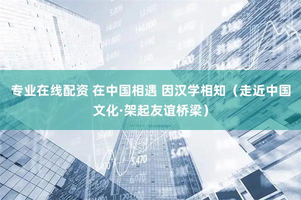 专业在线配资 在中国相遇 因汉学相知（走近中国文化·架起友谊桥梁）